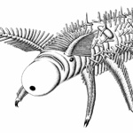 Scientific illustration